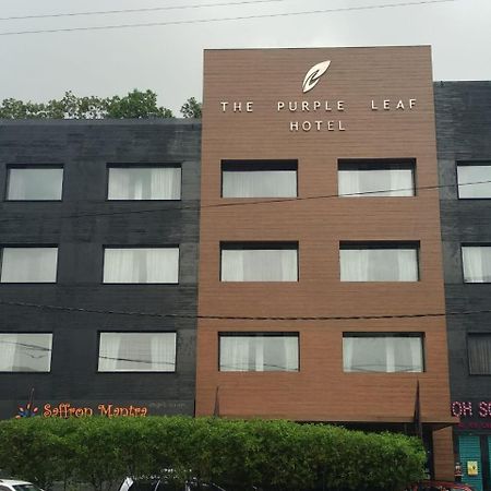 The Purple Leaf Hotels Hajdarábád Exteriér fotografie