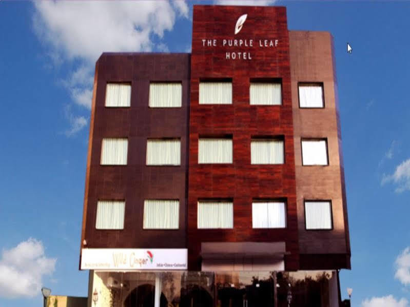 The Purple Leaf Hotels Hajdarábád Exteriér fotografie